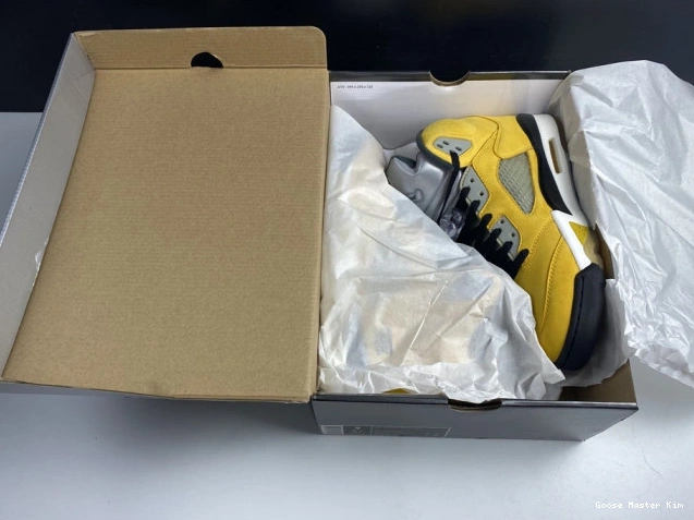 Tokyo 5 Retro T23 Air Jordan 454783-701 0714